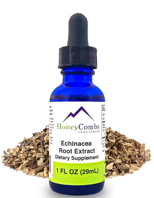 Echinacea Root Extract – Non Alcoholic Liquid Formula