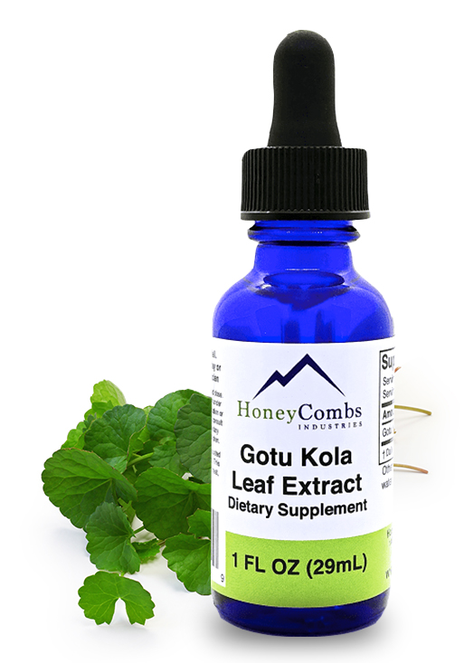Gotu Kola Leaf Extract