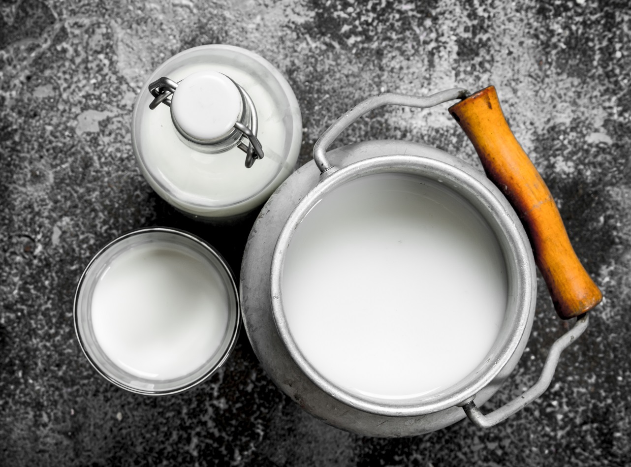 Fresh cow's milk.