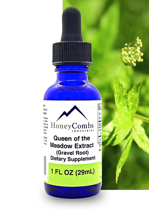 Queen Of The Meadow Extract