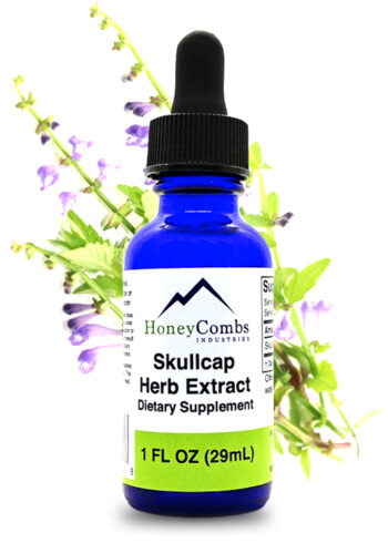 Skullcap Herb Extract